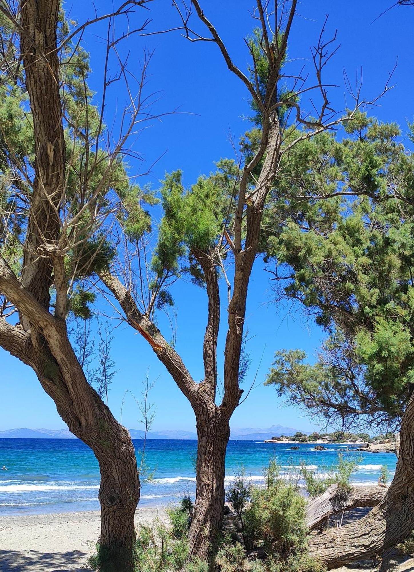 Tusia Holiday home Vravrona
